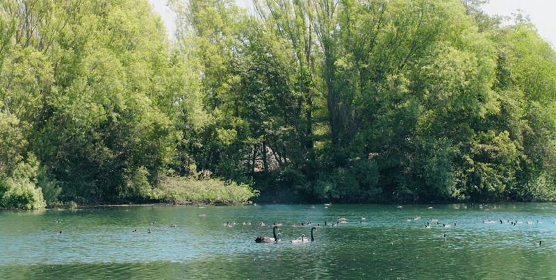 case-studies-feature